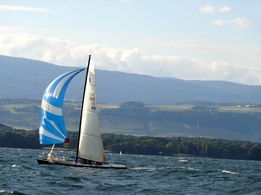 SUI 80 - SPI Brise - BOM 2014