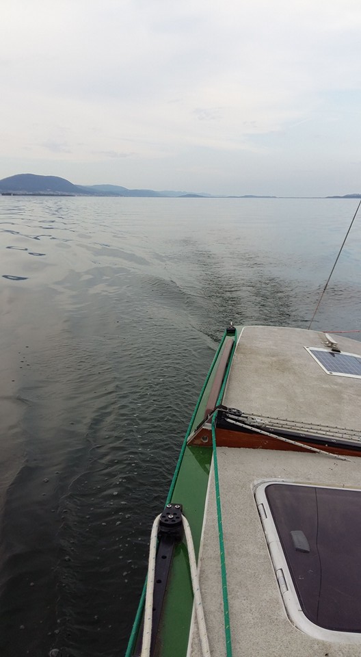 eggenberger bol neuch