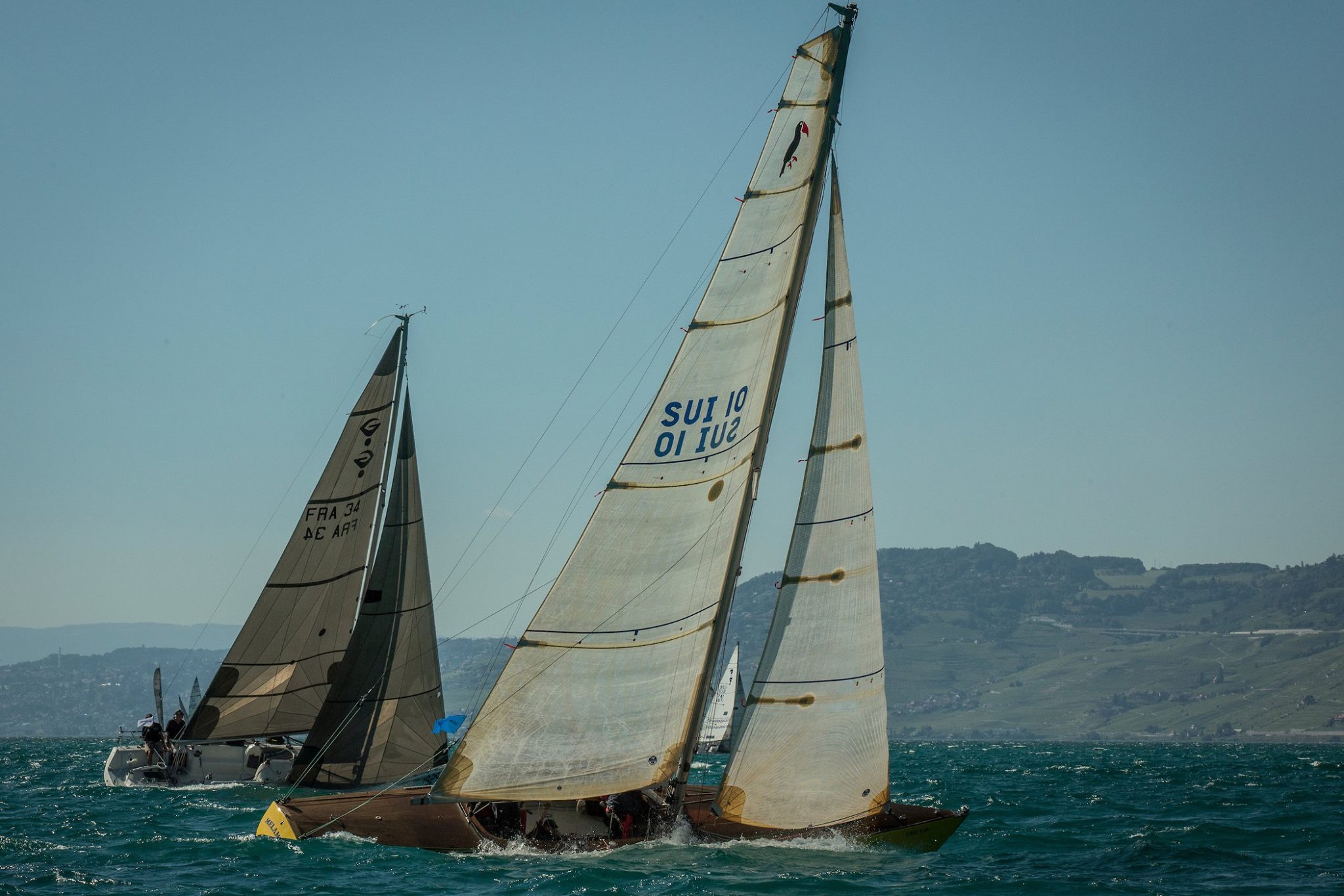 MELAMPO SUI 10 - BOM 17