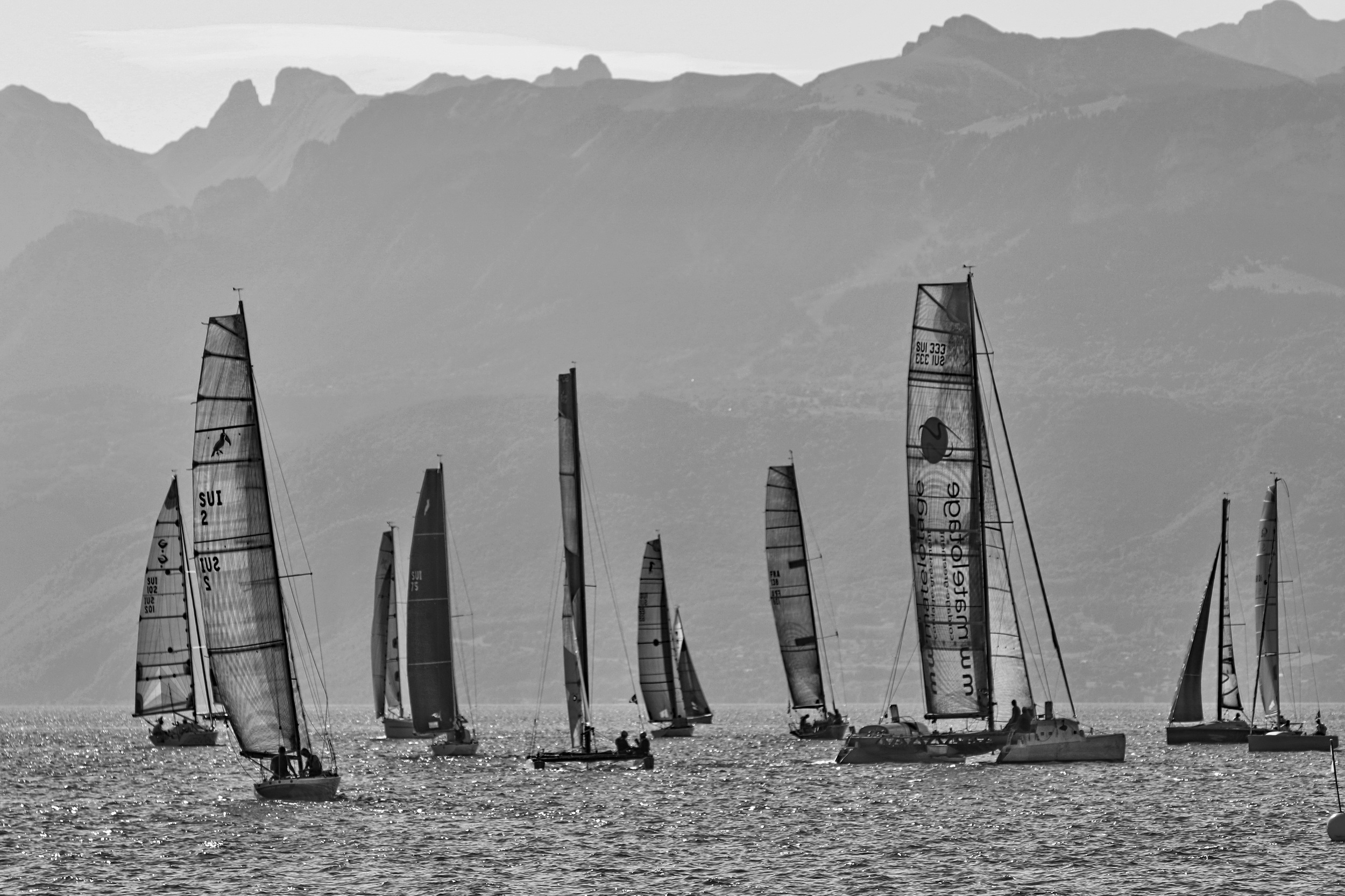 CORDEE LEMANIQUE EN DOUBLE - RETOUR