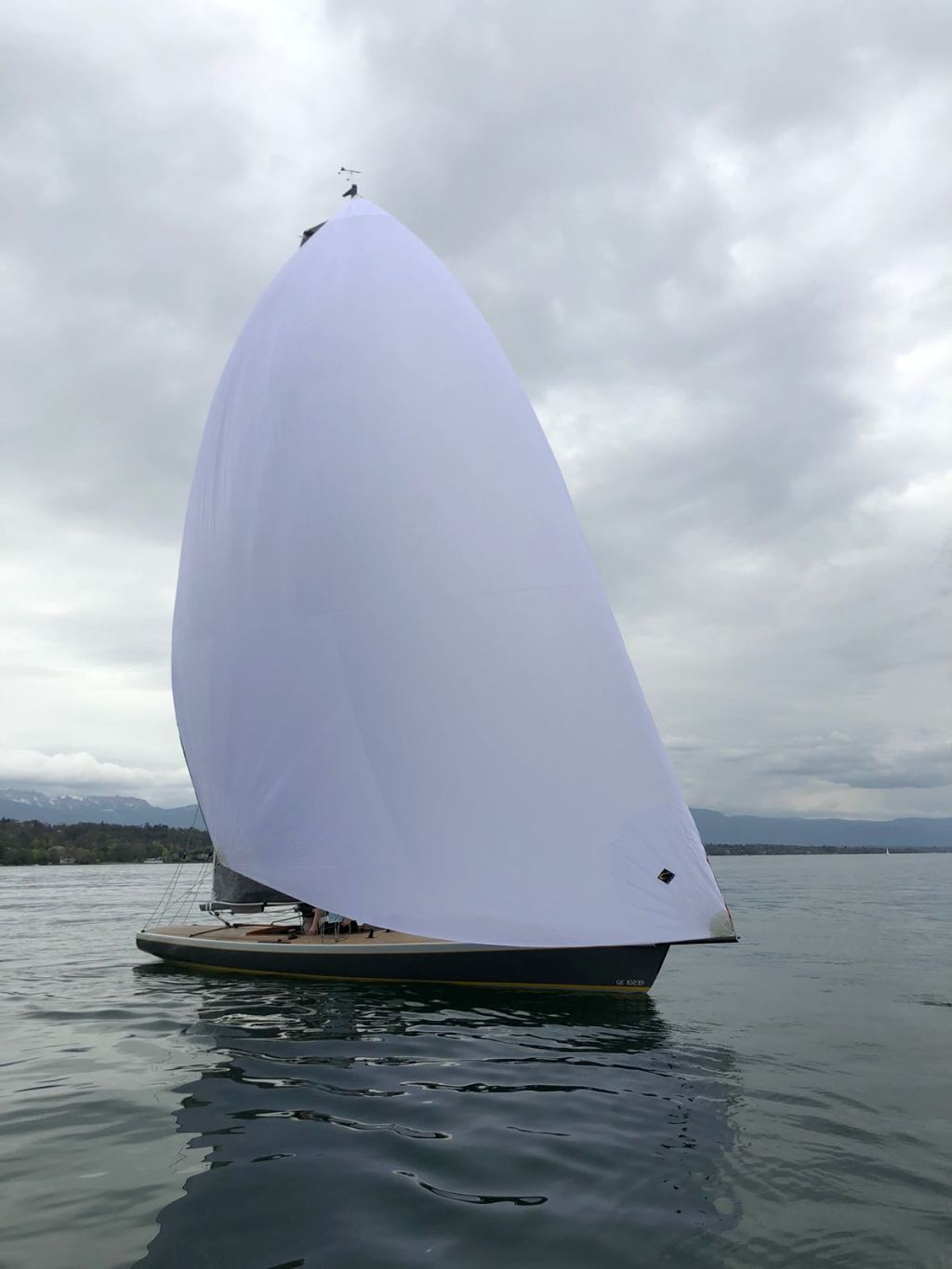 Spi Asymétrique – jauge&nbsp;SRS